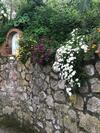 Bed & Breakfast L' Arancio In Fiore