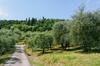 Apartamento Farmhouse Cipresso 1
