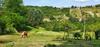 Agroturismo Agriturismo Il Burlino Apartments