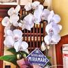 Hotel Albergo Miramare