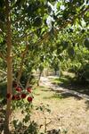 Agroturismo La Hacienda