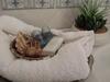 Bed & Breakfast L'acchiappasogni