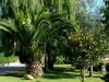 Apartamento Villamirella