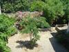 R�sidence Benista