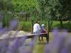 Agroturismo Poggio Al Casone