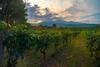 Agroturismo Tenuta San Michele