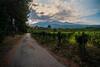Agroturismo Tenuta San Michele