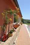 Bed & Breakfast Al Palmento Cruillas