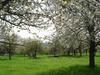 Bed & Breakfast Chambres D'h�tes Au Temps Des Cerises