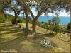 Bed & Breakfast Villa Pierina