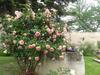 Bed & Breakfast La Baguenaude