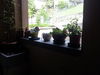 B&B Agnese Bergamo Old Town Charme