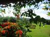 Hostal Hotel Pachamama