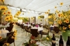 Central Park Hotel Terme