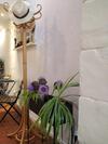 Apartamento Appartement Arles Centre Historique