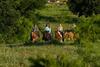 Hotel Wildcatter Ranch And Resort
