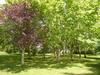 Camping Parc Du Ch�teau D'allot