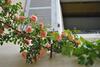Bed & Breakfast Le Ragois