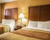 Hotel Comfort Inn Asheville Airport