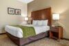 Hotel Comfort Inn Asheville Airport