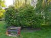 Hotel Logis H�tel De France