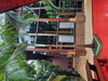 Hotel Don Horacio