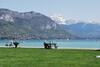 Aparthotel Chuuut ! G�te Urbain