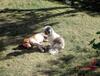 Bed & Breakfast Aux Plumes De Grigy