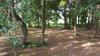 Bed & Breakfast Chambres D'h�tes Du Manoir Du Haut Salmon