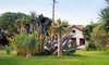 Agroturismo Bungalow Agavehaus