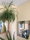 Homestay Norwich