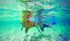 Hotel Occidental Cozumel