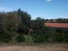 Agroturismo L'ulivo