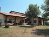 Agroturismo L'albero Bianco