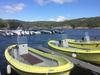 Hotel S�rlandet Feriesenter