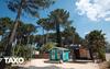 Camping Taxo Les Pins