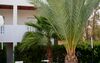 La Concha Soul Boutique Hotel
