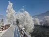 Apartamento Landhaus Tirol