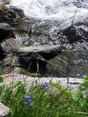 Apartamento Landhaus Tirol