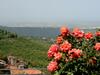 Bed & Breakfast Villa Dei Fantasmi