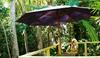 Villa Marine Holiday Apartments Cairns
