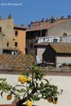 La Terrazza