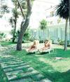 Js Yate Hotel