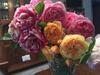 Bed & Breakfast Ca D Gnese Di Stella Angelo