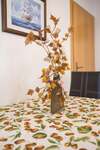Apartments Alen