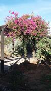 Agroturismo La Gayria
