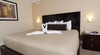 Hotel Galleria Palms