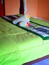 Hostal Mushroom Garden Villas