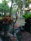 Grand Traverse Homestay