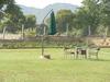 Hotel Lohana Village Resort